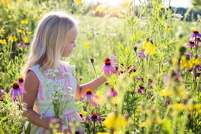 Pourquoi le pollen frais peut aider les enfants TDAH ?