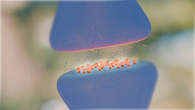 Les neurotransmetteurs qui soutiennent la concentration